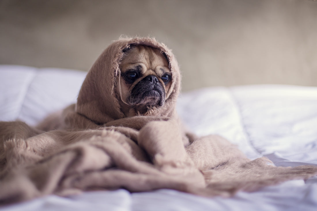 The importance of sleep and how to improve your sleeping habits: Sleep hygiene
